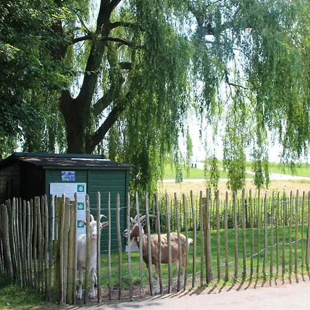 Hébergement de vacances In Zevenhuizen Near Delft *
